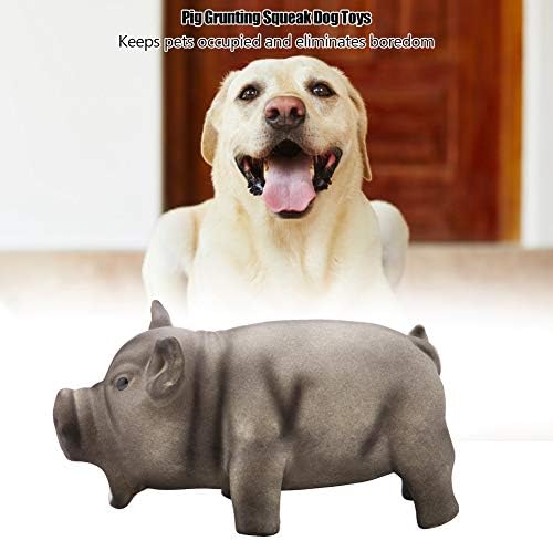 Dog Chew Toy Cute Pig Grunting Squeak Latex Dog Puppy Toy(Black)