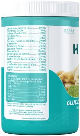 Health Extension Chondroitin with Glucosamine for Dogs, 16oz - Arthritis Pain Relief, Joint & Hip Supplement, Cheese Flavored Powder