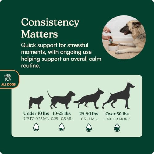 Reggie Anytime Calming Drops for Dogs, L-Theanine, Melatonin