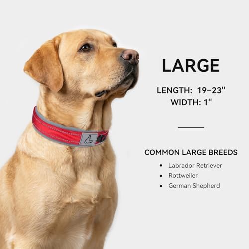 Joytale Reflective Dog Collar for Large Dogs with Wide Padding, Red