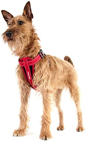 EzyDog Chest Plate No Pull Dog Harness, Escape Proof - Medium, Corduroy | Car Restraint Included, Comfort EVA Padding, Adjustable for All Breeds, Quick Release Buckles, Reflective Stitching