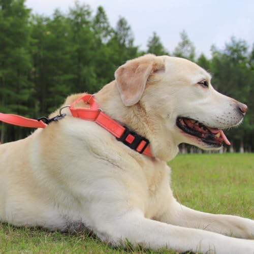 Joytale Martingale Collar for Dogs, Escape Proof No Pull, Neon Pink, S
