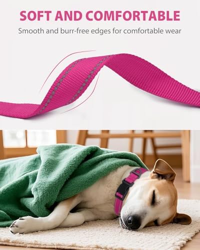 Joytale Feather-Light Dog Collar for Medium & Large Dogs, 1", Hotpink