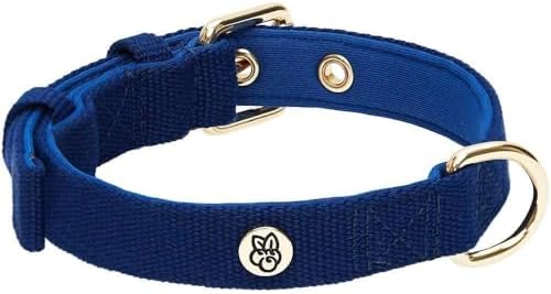 Blueberry Pet New Classic Modern Iconic Neoprene Padded Dog Collar Indigo Blue/Medium