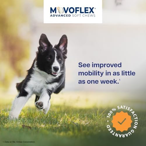 MOVOFLEX Advanced Soft Chews Hip and Joint Support Supplement for Small Dogs - 60 Count by Virbac