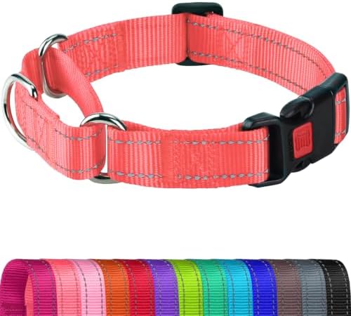Joytale Martingale Collar for Dogs, Escape Proof No Pull, Neon Pink, M