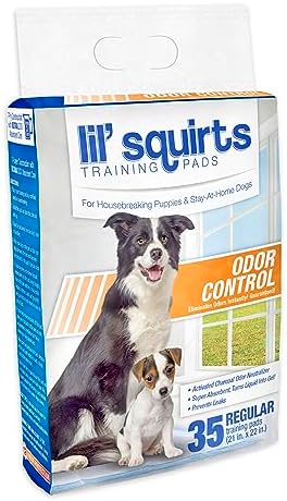 RUFFIN' IT 7N82006 Training Pads for Housebreaking Puppies, One Size (35 Pads)