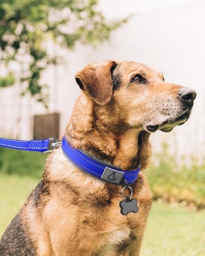 Joytale Reflective Dog Collar for XLarge Dogs with Wide Padding, Navy Blue