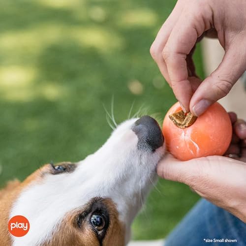 P.L.A.Y. Cute Outdoor Dog Toys - ZoomieRex IncrediBall Rubber Ball Toy, Great for Puppies & Small, Medium, Large Dogs - Dishwasher Safe, Indestructible, Floats in Water, Beach Friendly (Green, Small)