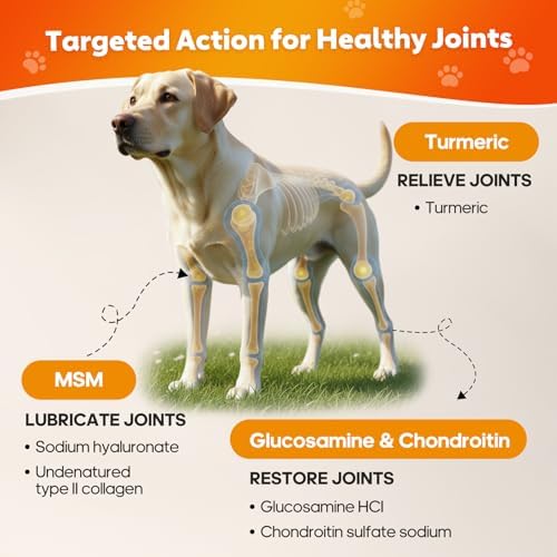 Hip & Joint Chews for Dogs, Mobility & Flexibility Support, 120 Ct