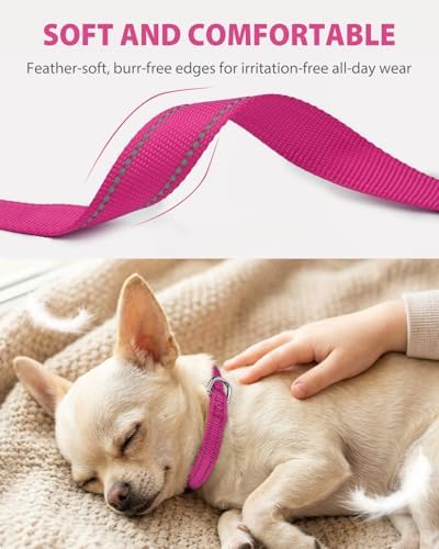 Joytale Feather-Light Puppy Collar for Extra Small Dogs, 3/8", Hotpink