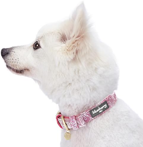 Blueberry Pet Lace Floral Stamping Adjustable Dog Collar in Iconic Pink, Neck 13-16.5", for Medium Breed