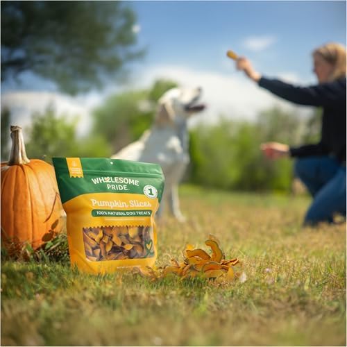 Wholesome Pride Pumpkin Slices Dog Treats – Single Ingredient, Dehydrated, All Natural, 20 oz