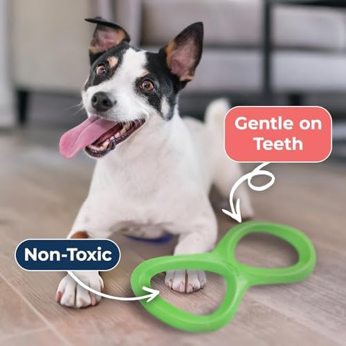 Tuggfinity - BPA-Free, Stretchy Durable Figure 8 Tug Toy - Lime | Grab, Stretch, Tug, Durable Dog Toy Strong, Enthusiastic Tuggers Safe, Durable Zogoflex BPA-Free, Rop Rack Dishwasher Safe.