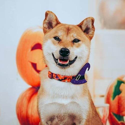 Blueberry Pet Halloween Witch Hat Adjustable Dog Collar with Detachable Glitter Accessory, Large, Neck 18"-26"