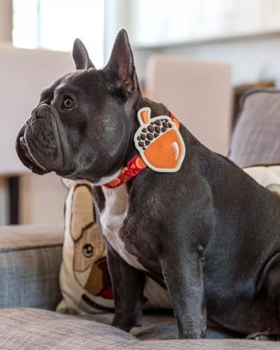 Blueberry Pet Thanksgiving Fall Pumpkin and Acorn Adjustable Dog Collar with Detachable Accessory, Large, Neck 18"-26"