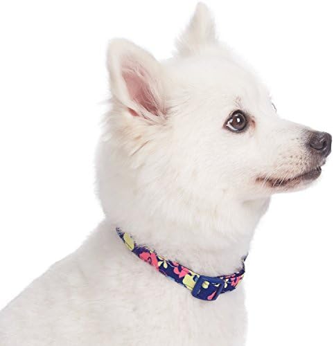 Blueberry Pet Made Well Profound Floral Print Adjustable Dog Collar in Navy Blue, X-Small, Neck 7.5"-10"