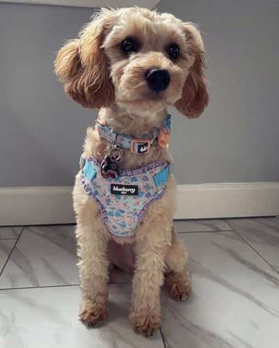 Blueberry Pet Dog Collar for Large Dogs, Lovely Floral Print in Lavender, Pink Girl Dog Collars, Adjustable Large Dog Collar with Detachable Flower, Stylish Dog Collars for Big Dogs