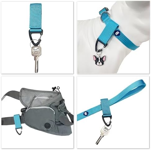 Blueberry Pet Essentials X-Small Dog Collar & Key Holder Set | Adjustable Turquoise Nylon Collar for Small Dogs | Classic Solid Color Collar with Matching Accessory