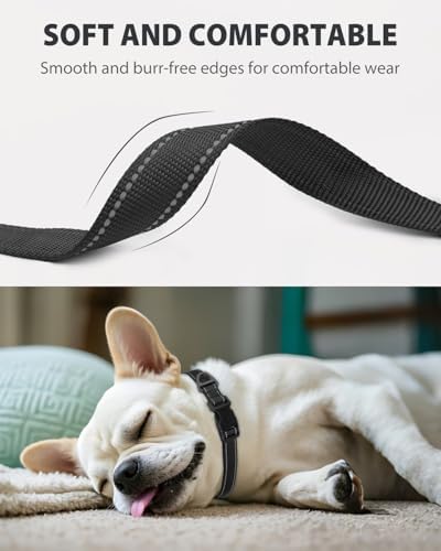 Joytale Dog Collar (10-16") and 6FT x 1" Wide Dog Leash Set, Reflective and Adjustable Nylon Collar and Padded Handle Leash for Small Dogs, Black, S