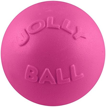 Jolly Pets Bounce-n-Play Dog Toy Ball, 8 Inches/Large, Blueberry, (Model: 2508 BB) | Durable large dog ball for dogs over 60 lbs, made from tough JollyFlex material that won't deflate when punctured and floats
