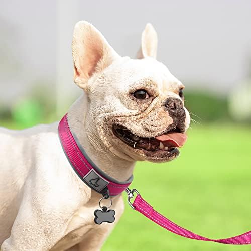 Joytale Reflective Dog Collar for Small Dogs with Wide Padding, Hotpink