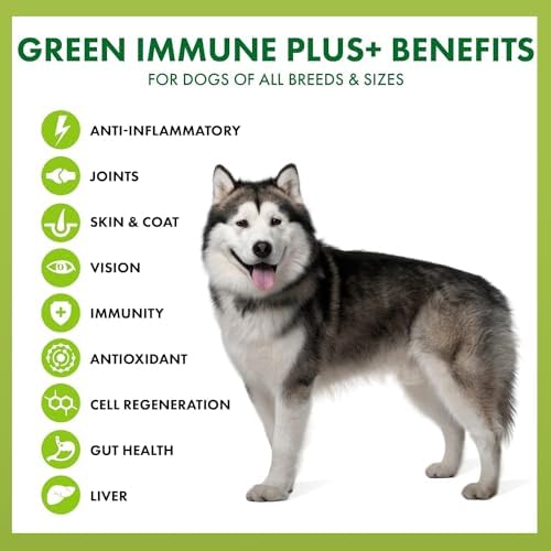 King Kanine Green Inmune Plus Multivitamin and Mineral 6 oz | Organic Powder to Improve Join Mobility & Allergy Relief | Inflammatory Supplement for Dogs Care | Veterinarian Approved