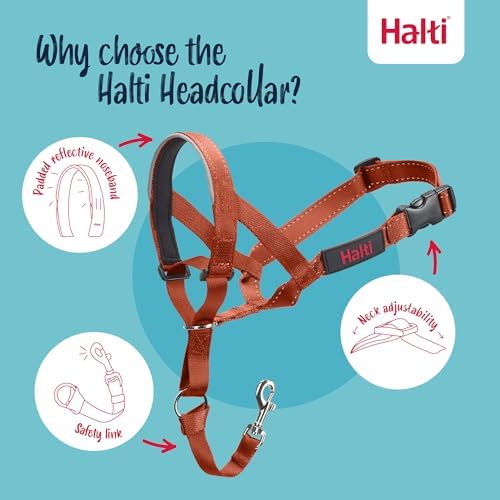 Halti Headcollar | Size 1, Burnt Orange | Training Collar for Small Dogs