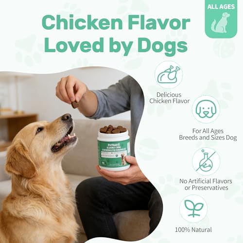 Dog Hip and Joint Supplement, Glucosamine Chondroitin Chews with Green Lipped Mussel Omega 3 Collagen Support Joint Flexibility Pain Relief, Joint Supplements for Small Large Breeds Dogs, 90 Count