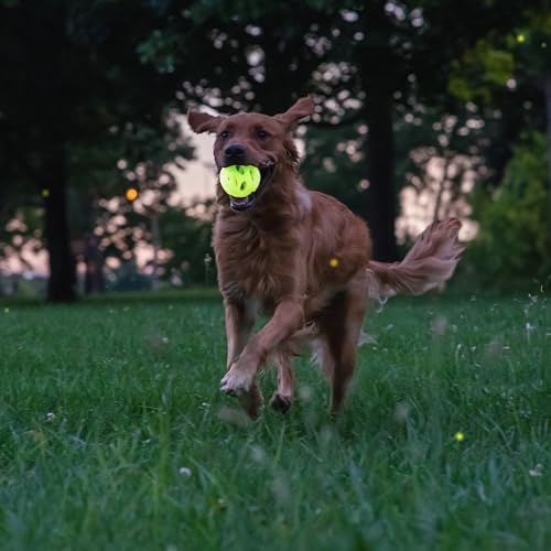 Chew King by Mammoth Glow-in-the-Dark Dog Fetch Balls (2-Pack), Lattice Rubber Fetch Toys for Night Play, High Bounce, Rechargeable Under Any Light, Medium 3.25"