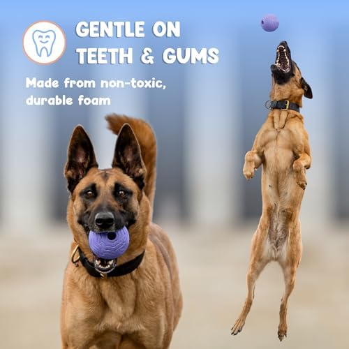 Foam Fetch Ball for Dogs – Durable EVA Foam Dog Ball, Interactive Chew Toy for Dogs, Lightweight Floating Ball for Water, Pool & Outdoor Fetch Games (Purple, Large)