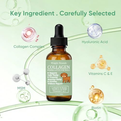 Waggle Hounds 9 in 1 Liquid Collagen for Dogs, Coat & Joint Support with Collagen, Hyaluronic Acid, Turmeric & Vitamins C & E for Everyday Care