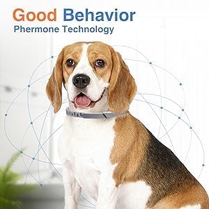 Calming Collar for Dogs 2 Pack Dog Pheromone Calm Collars Relief Anxiety Stress Separation Lasts 60 Days Relieve Bad Behavior up to 27 Inche Size Flexible Adjustable for All Small Medium and Large Dog