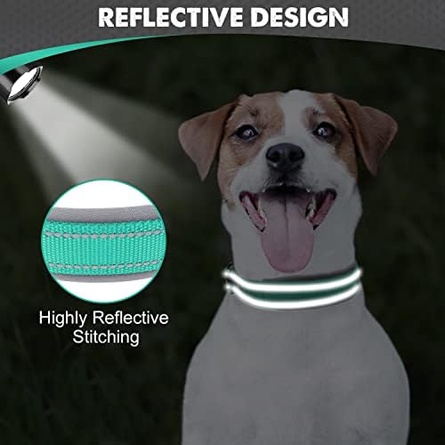 Joytale Reflective Dog Collar for Small Dogs with Wide Padding, Teal