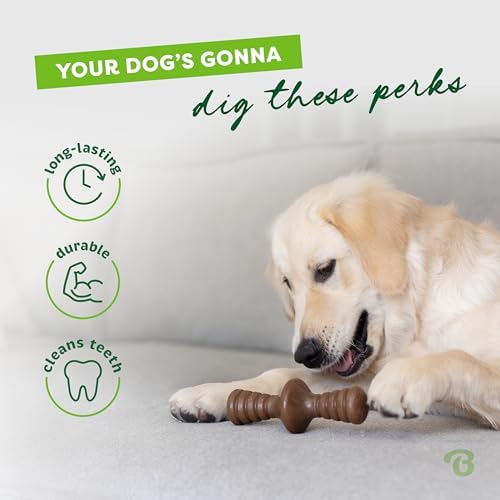 Benebone Zaggler Rolling Dog Chew Toy for Aggressive Chewers, Real Chicken, Made in USA, Small
