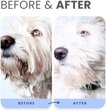 Lillian Ruff PRO Formula Berry Blue Brightening Dog Shampoo + Blueberry Waterless Dog Shampoo - Professional Whitening, Tear Stain Remover & No-Rinse Hydrating Odor Control, Aloe+Coconut Oil, USA Made