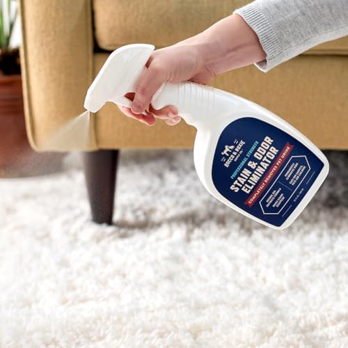 Rocco & Roxie Enzyme Stain & Odor Eliminator, 1 Gallon