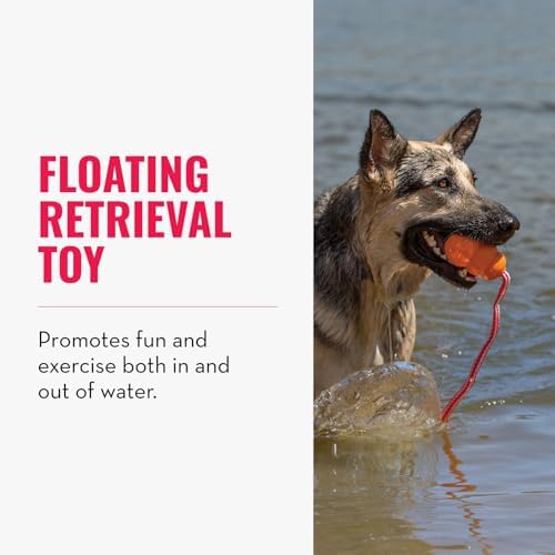 KONG Aqua Floating Fetch Toy, Natural Rubber, Orange, for Large Dogs | Floating KONG Natural Rubber Water Toy with Foam Interior & Rope for Farther Throwing & Easy Retrieval Play