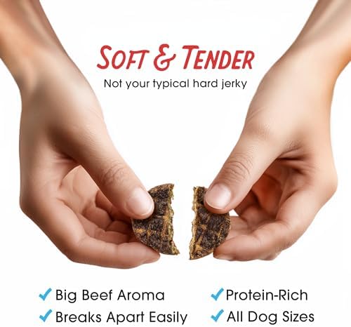 Farmland Traditions Dogs Love Beef Jerky Dog Treats with Only 3 Ingredients and No Fillers, 2.5 Pound (Pack of 2).