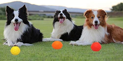 Squeaky Dog Toys, Non-Toxic Rubber Play Balls - Interactive & Training Chew Toys for Puppies & Small/Medium Dogs (7cm/2.75in Pack of 3)