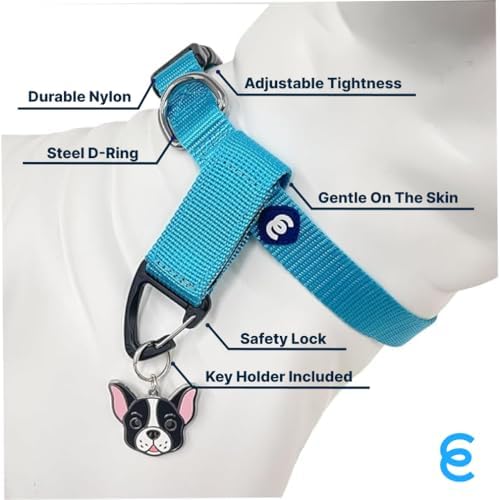 Blueberry Pet Essentials Matching Medium Dog Collar & Key Holder Set | Adjustable Classic Solid Color Nylon Collars for Medium Dogs w/Key Holder for Pet Owners