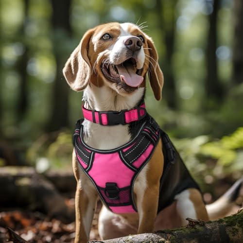 Joytale Reflective Dog Collar, Adjustable Neoprene Padded, Hotpink L