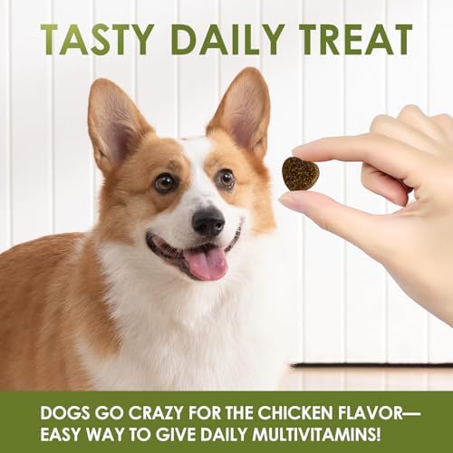 Multivitamin for Dogs, Chicken Flavor, 120 Count | Essential Vitamins & Minerals, Skin & Coat Health, Immune Support, Heart & Liver Care