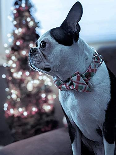 Lionet Paws Christmas Dog Collar with Bowtie Durable Adjustable Handmade Comfortable Bow Tie Dog Collar Cat Collar with Metal Buckle for XL Dogs,Party,Festival,Holiday Style,Neck 16-26in
