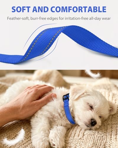 Joytale Feather-Light Dog Collar for Small & Medium Dogs, 3/4", Navy Blue