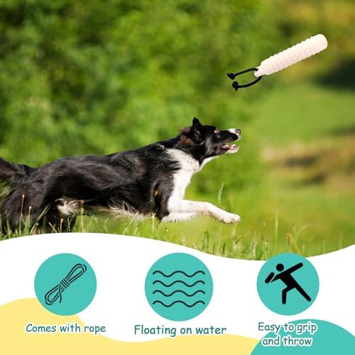 Blueweenly White Dog Bumper Toy Training Dummy, 6 Pcs | Plastic Lightweight Floats on Water, Textured with Rope for Fetch, Pool Outdoor Retrieving, Summer Water Play