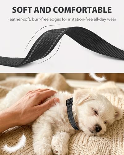 Joytale Feather-Light Dog Collar for Small Dogs & Puppies, 5/8", Black