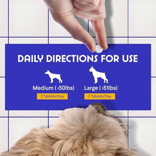 Wonder Paws B12 Supplement for Dogs – Vitamin B-12 for All Ages, Sizes & Breeds – Vitamin B12 for Dogs as Superior Methylcobalamin, Cobalamin & Folate (5-MTHF) – 90 Beef Flavored Chewables