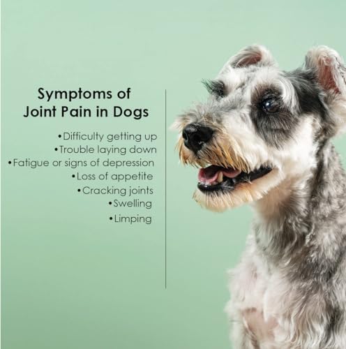 Soft Chews for Dogs – Joint Support with Glucosamine, MSM, Creatine, Hyaluronic Acid, Turmeric, EPA & DHA – Supports Joints & Cushions Connective Tissues – NASC Certified – 240 Soft Chews