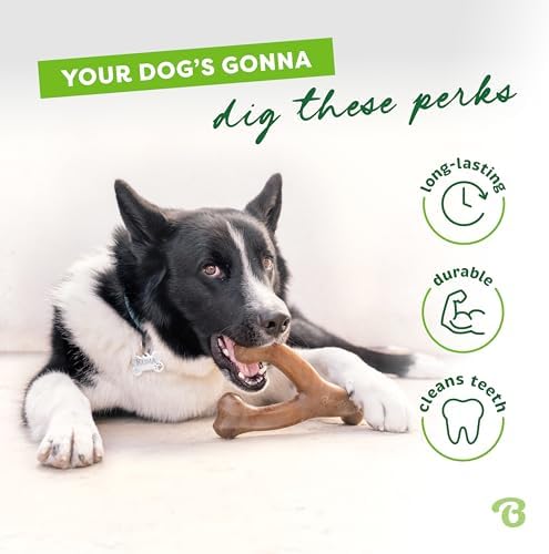 Benebone 2-Pack Wishbone Toy for Aggressive Chewers, Real Bacon, Medium | Durable, Multipack, Super Chewer, Made in USA, Dog Bones, Long-Lasting, A Size for Every Dog, Keeps Them Busy
